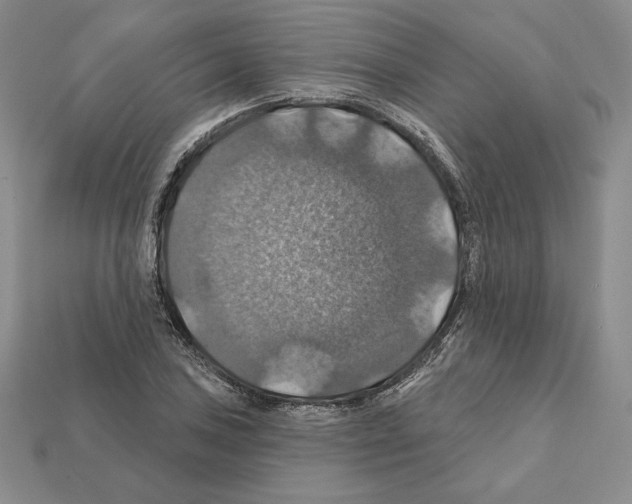 X0000112031027200909141052