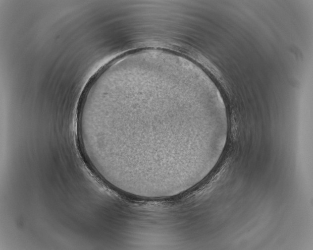 X0000112031028200909141052