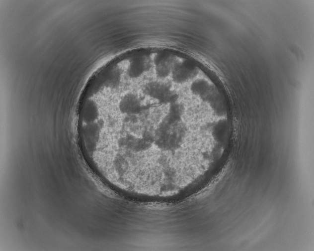 X0000112031029200909141052