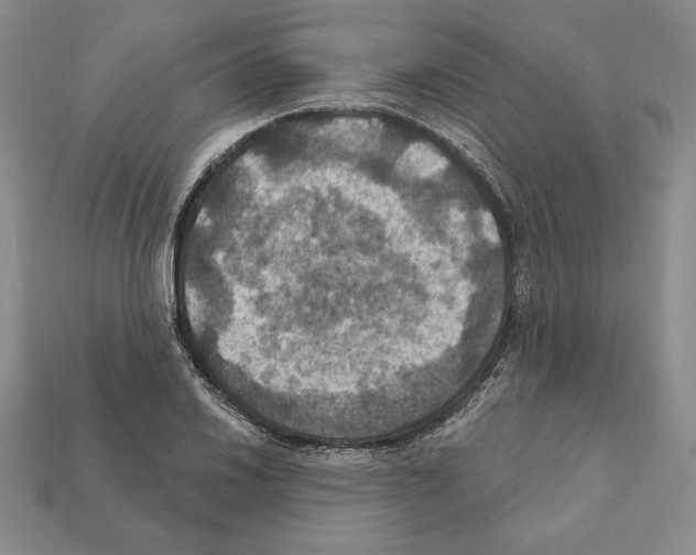 X0000112031030200909141052