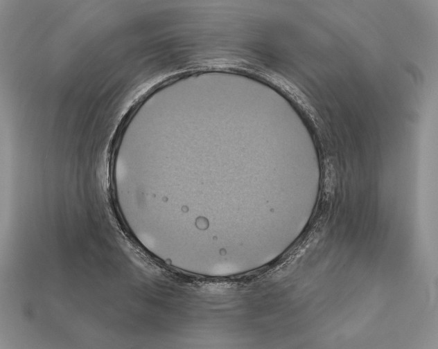 X0000112031031200909141052