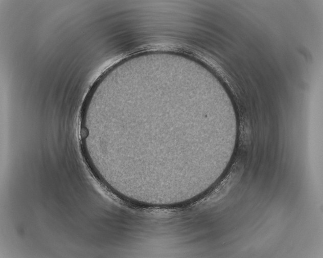 X0000112031034200909141052