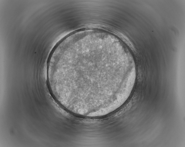 X0000112031036200909141052