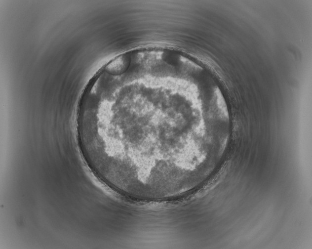 X0000112031038200909141052