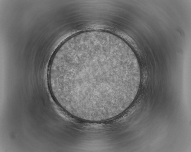 X0000112031039200909141052