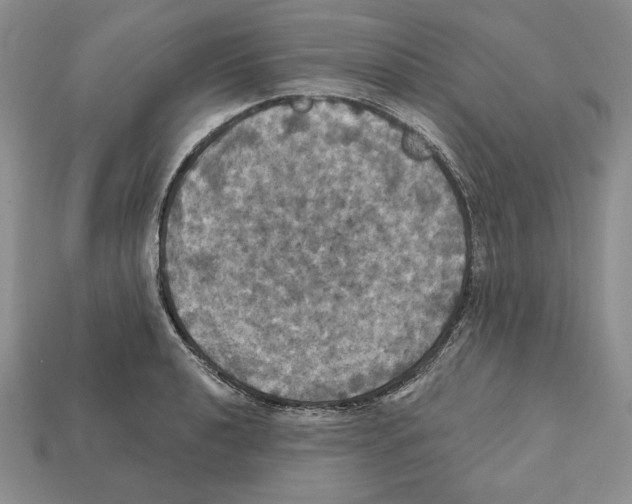 X0000112031040200909141052