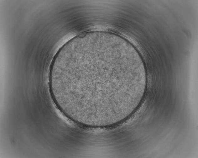 X0000112031042200909141052