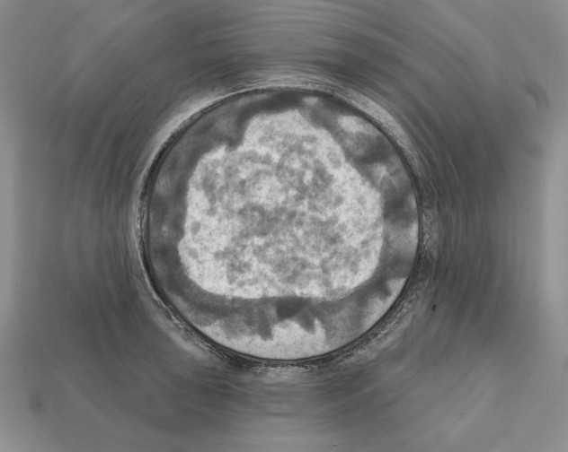 X0000112031043200909141052