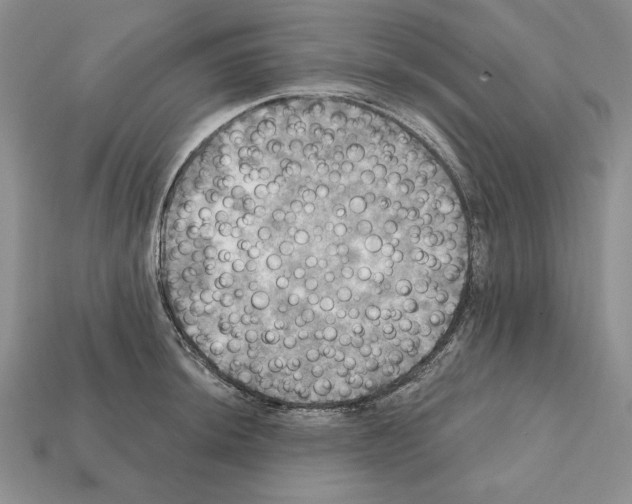 X0000112031044200909141052