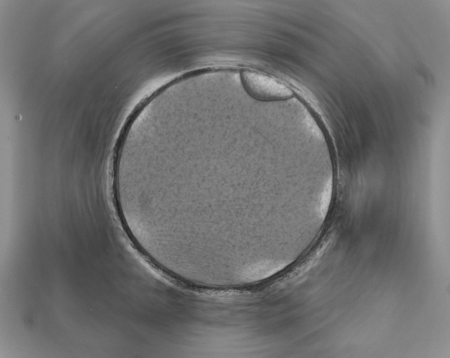 X0000112031045200909141052