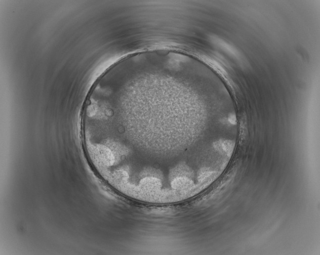 X0000112031047200909141052