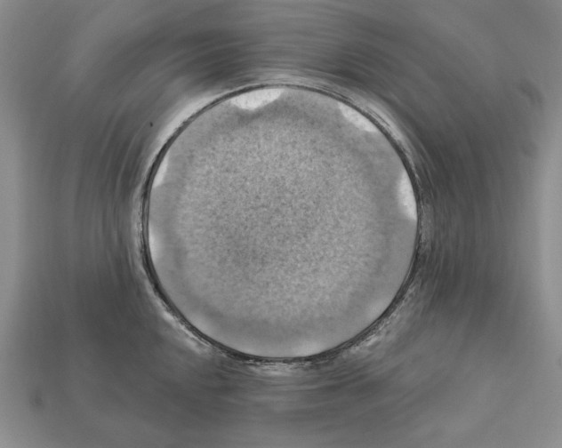 X0000112031048200909141052