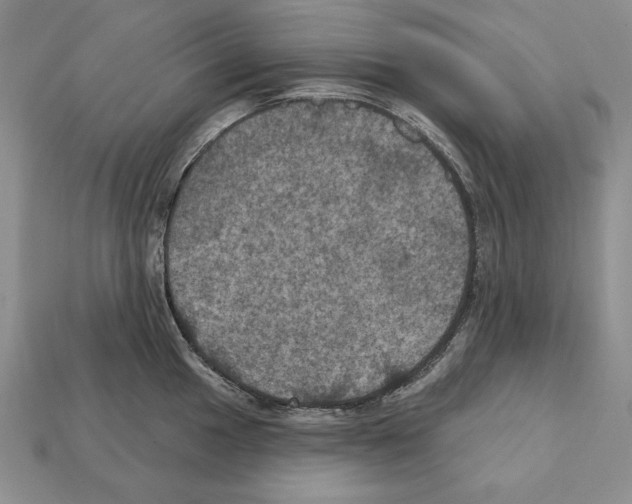 X0000112031049200909141052