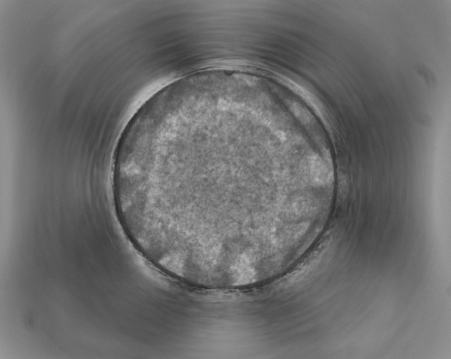 X0000112031050200909141052