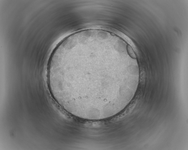 X0000112031051200909141052
