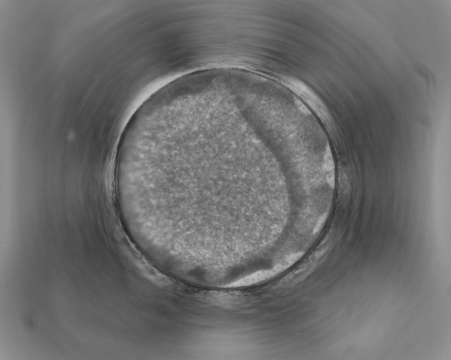 X0000112031052200909141052