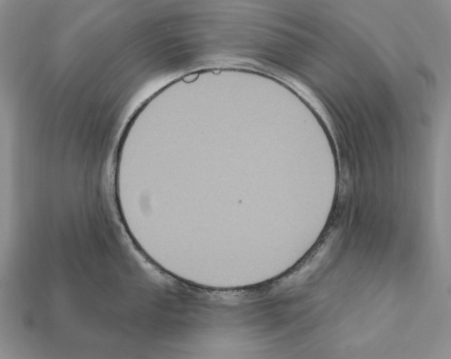 X0000112031053200909141052