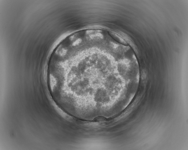 X0000112031054200909141052