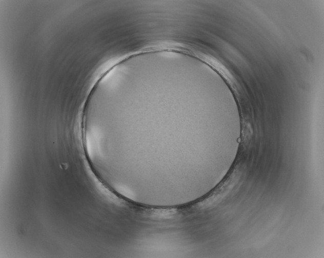 X0000112031055200909141052