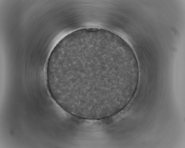 X0000112031056200909141052