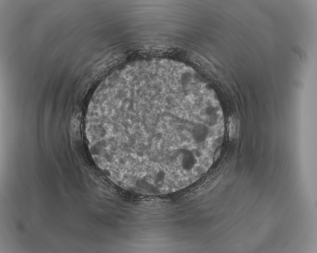 X0000112031059200909141052