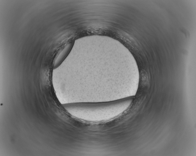 X0000112031060200909141052