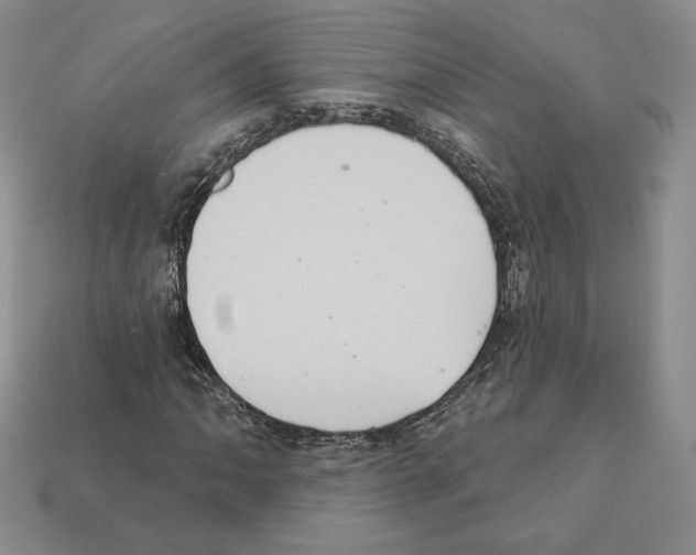 X0000112031062200909141052