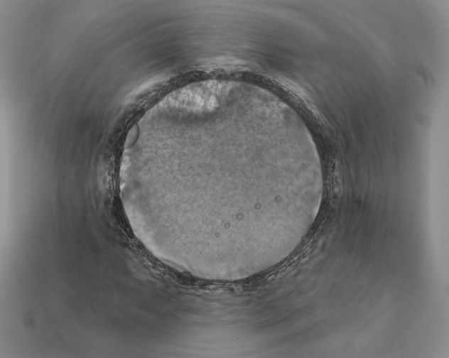 X0000112031063200909141052