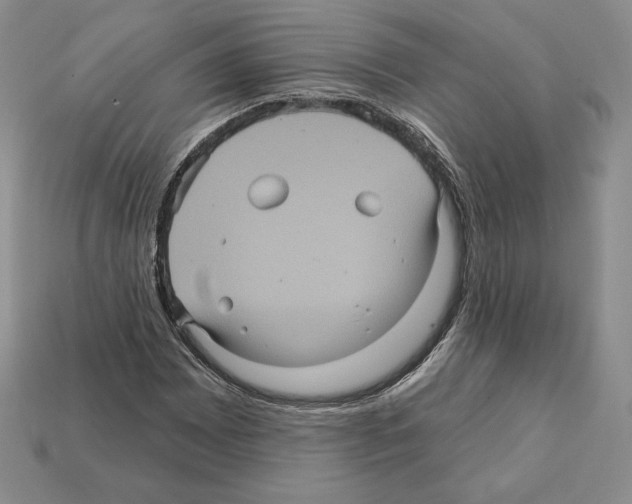 X0000112031065200909141052