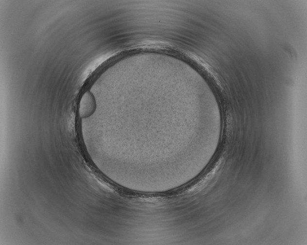 X0000112031066200909141052