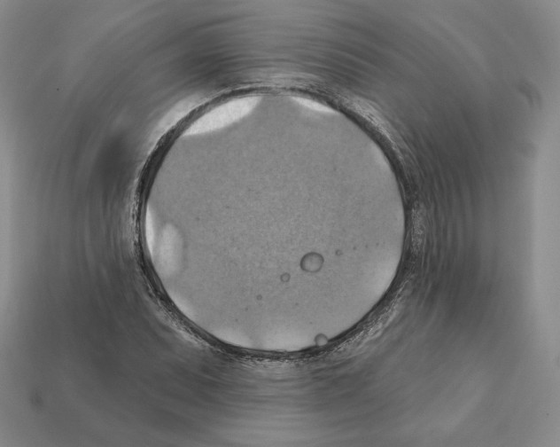 X0000112031071200909141052