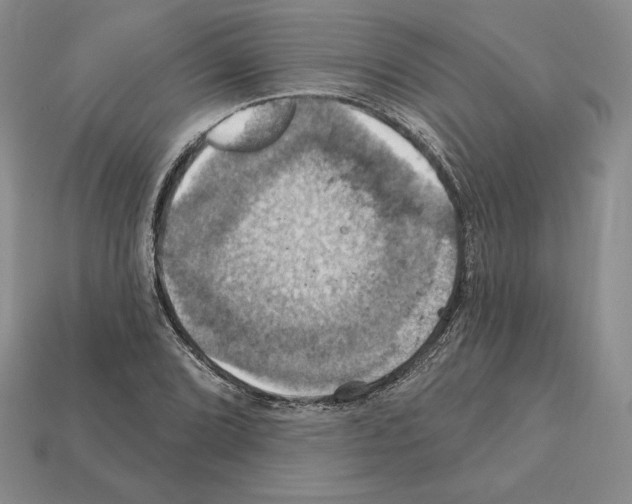 X0000112031072200909141052