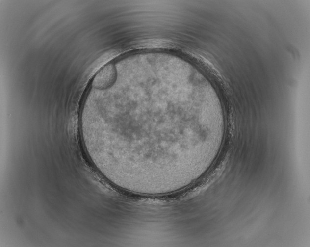 X0000112031073200909141052