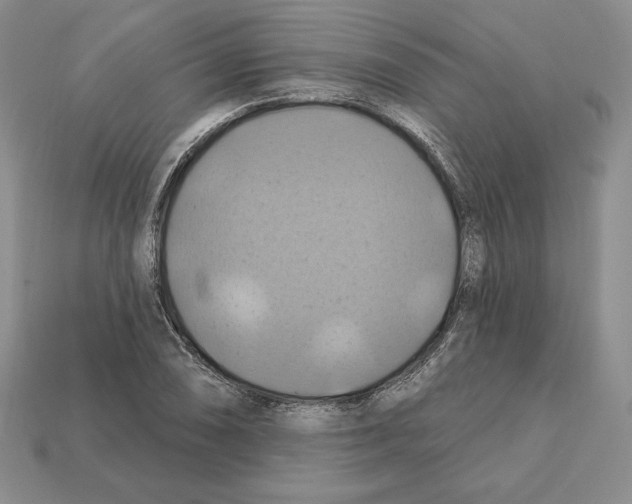 X0000112031074200909141052