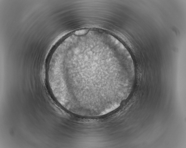 X0000112031076200909141052