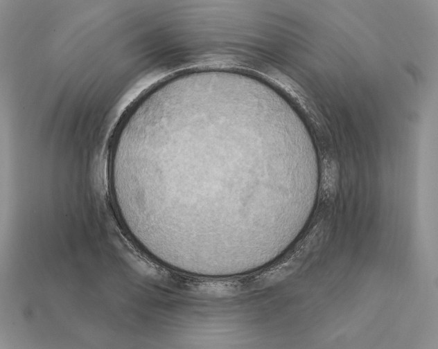 X0000112031078200909141051