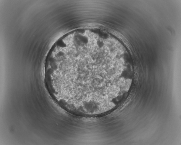 X0000112031083200909141051