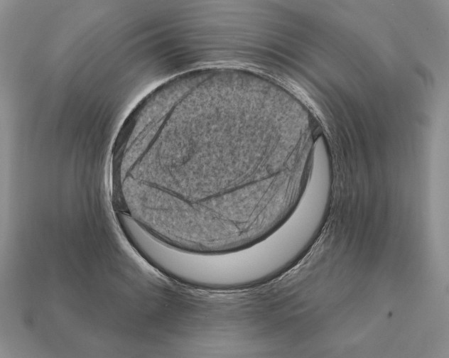X0000112031084200909141051