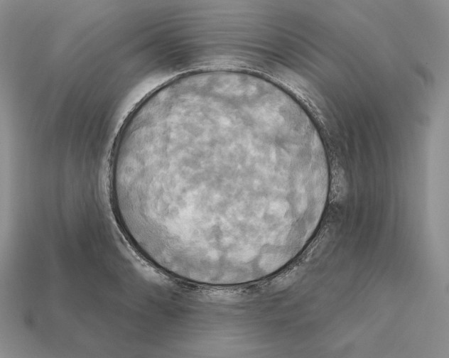 X0000112031086200909141051