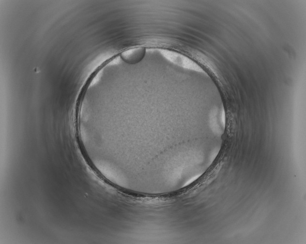 X0000112031087200909141051
