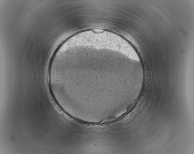 X0000112031088200909141051