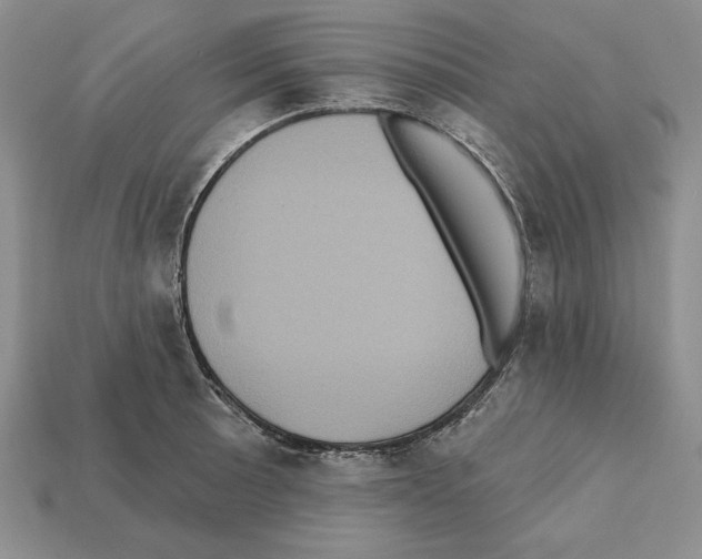 X0000112031089200909141051