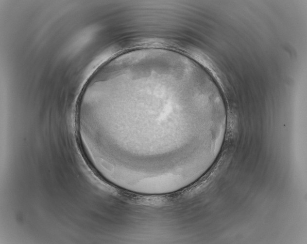 X0000112031090200909141051
