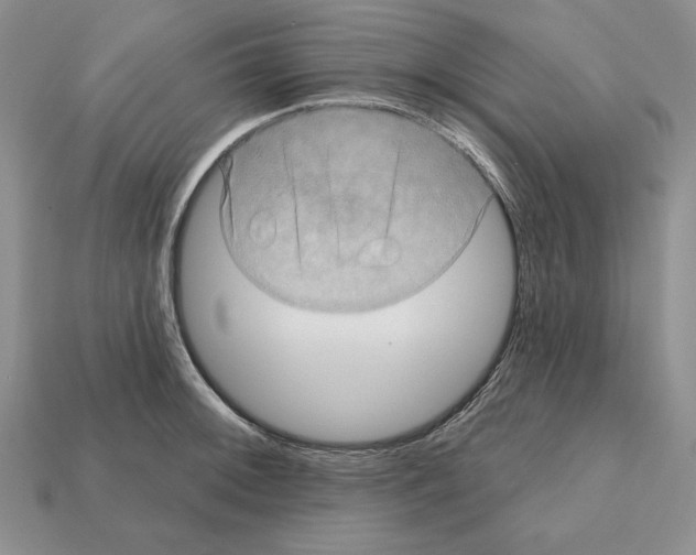 X0000112031092200909141051