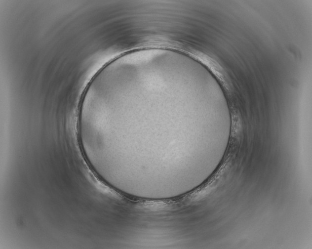 X0000112031094200909141051