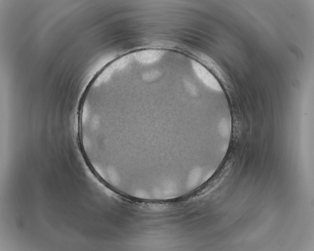 X0000112031095200909141051