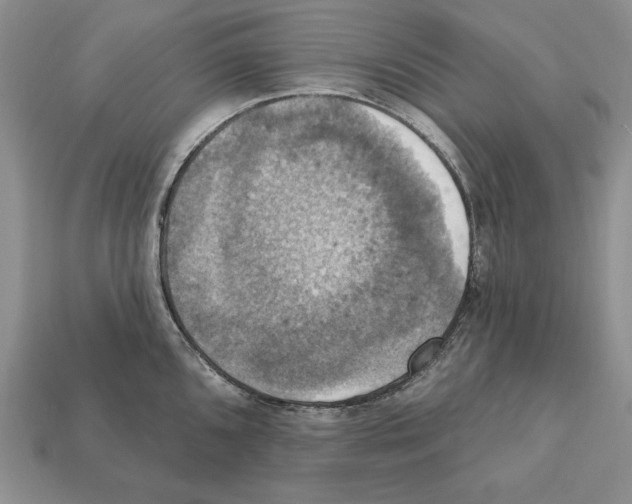 X0000112031096200909141051