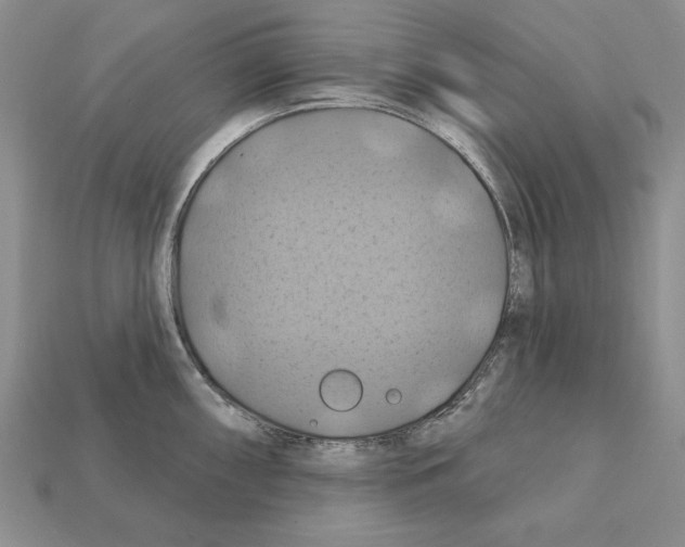 X0000112031098200909141051