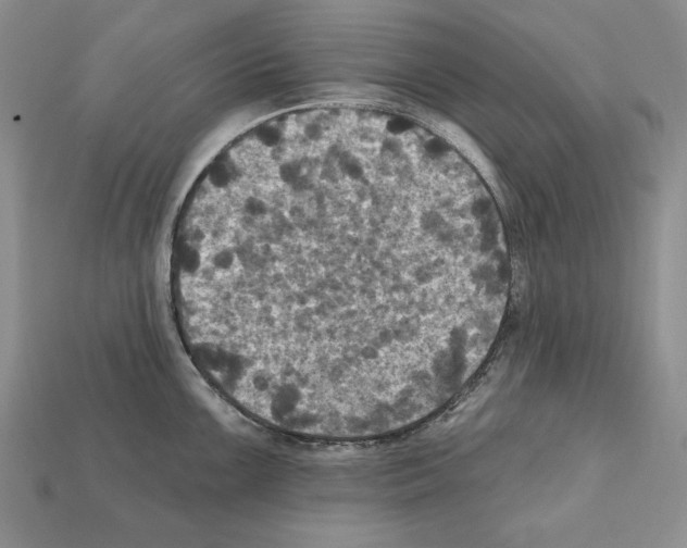 X0000112031099200909141051