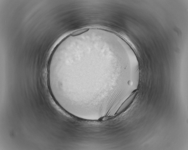 X0000112031100200909141051